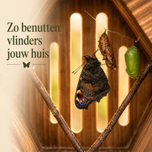 Afbeelding in Gallery-weergave laden, Handgemaakt druppelvormig vlinderhuis van natuurlijk hout vervaardigd